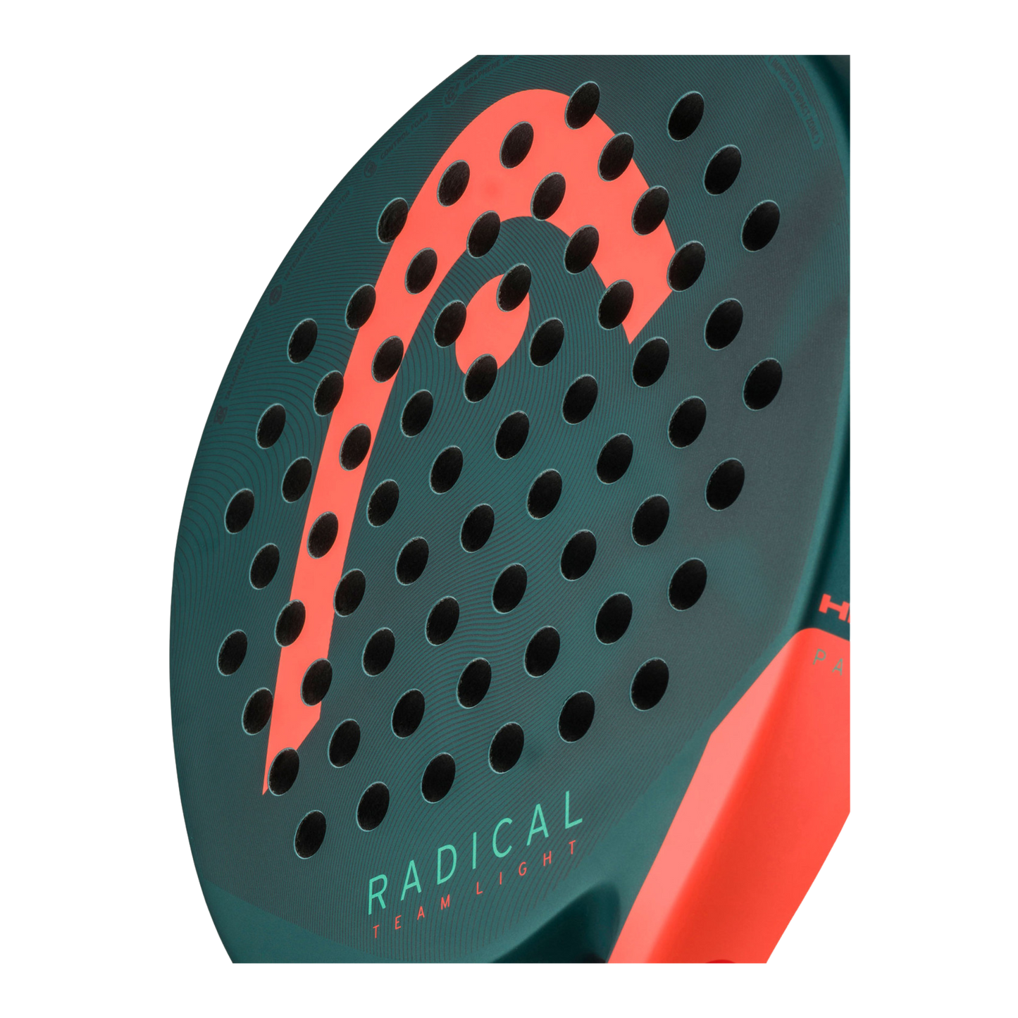 HEAD Radical Team Light 2026