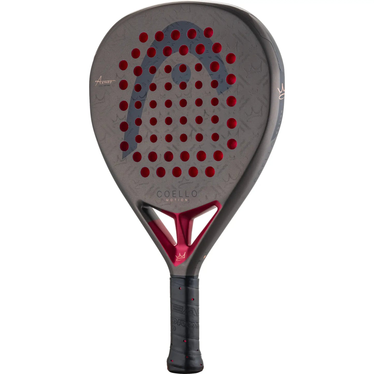 Head Coello Motion 2026