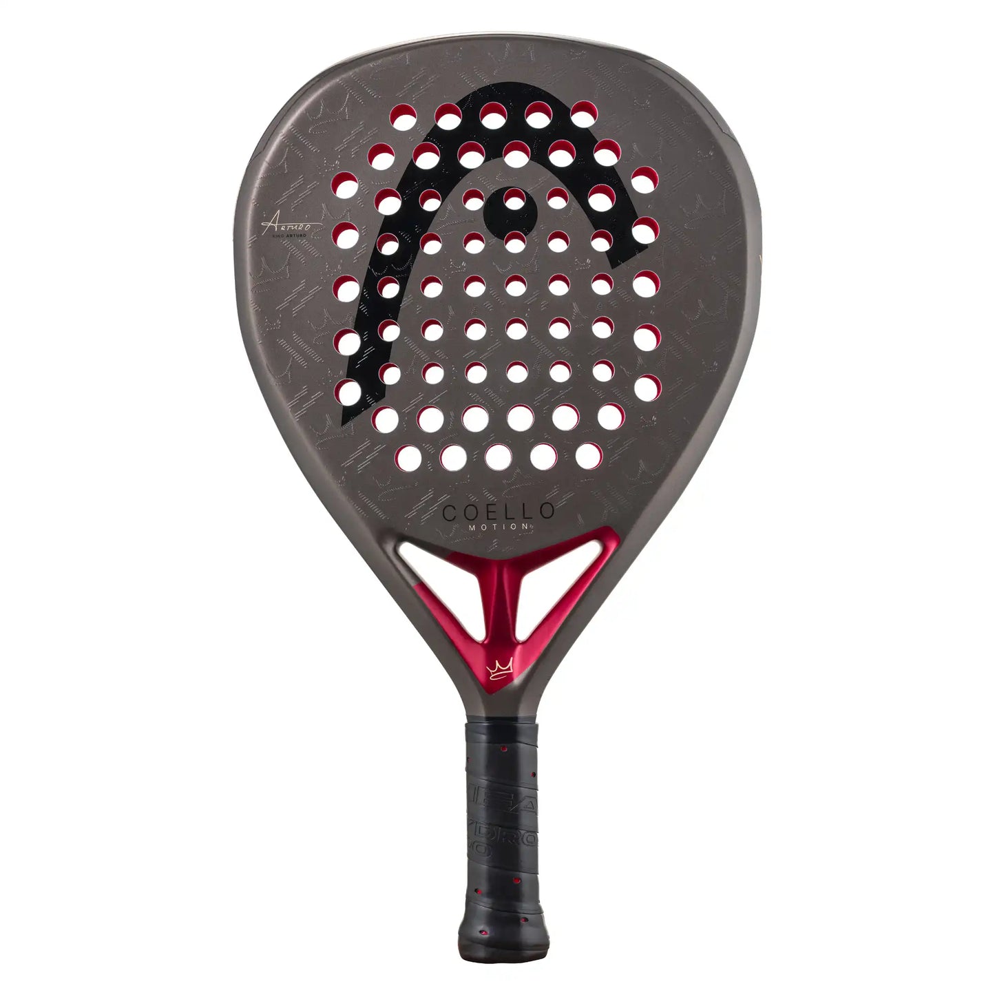 Head Coello Motion 2026